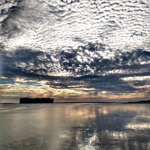 Meet your Posher, Whitney